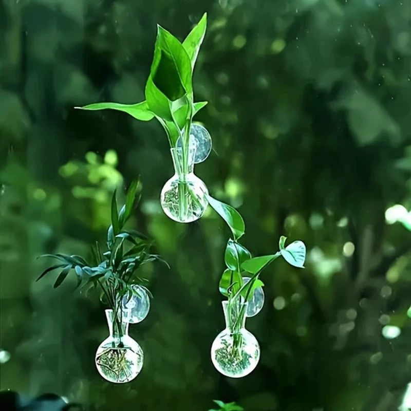 Creative Semi Circular Class W - Aquarium Planted Wall 评论和价格
