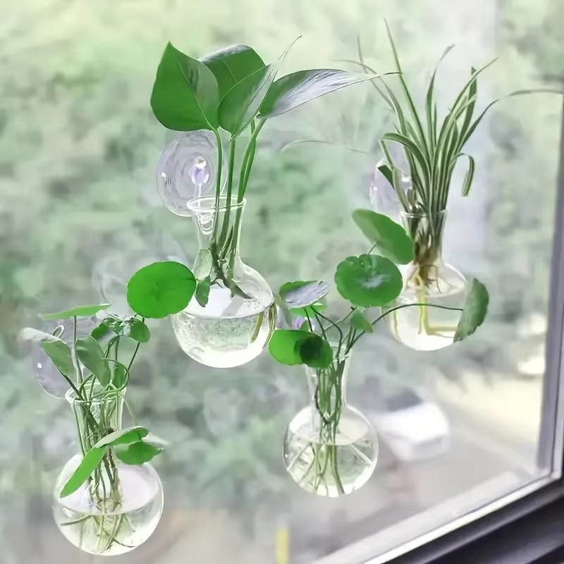 Creative Semi Circular Class W - Aquarium Planted Wall 评论和价格
