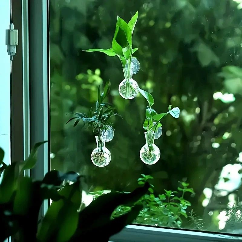 Creative Semi Circular Class W - Aquarium Planted Wall 评论和价格