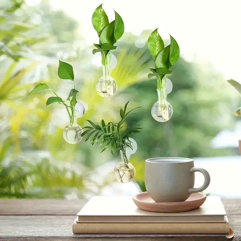 Creative Semi Circular Class W - Aquarium Planted Wall 评论和价格
